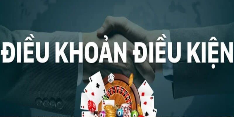 ảnh đại diện điều khoản điều kiẹn