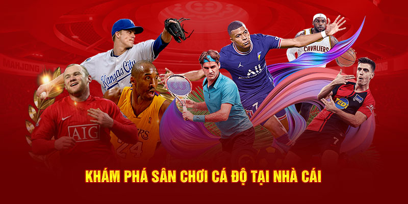 Khám phá sân chơi cá độ tại nhà cái