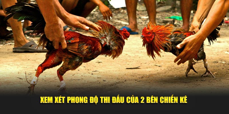 Xem xét phong độ thi đấu và vào sân của 2 bên chiến kê